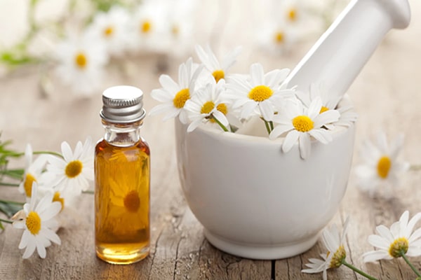 chamomile oil تأثیر عصاره بابونه بر سلامت و زیبایی مو
