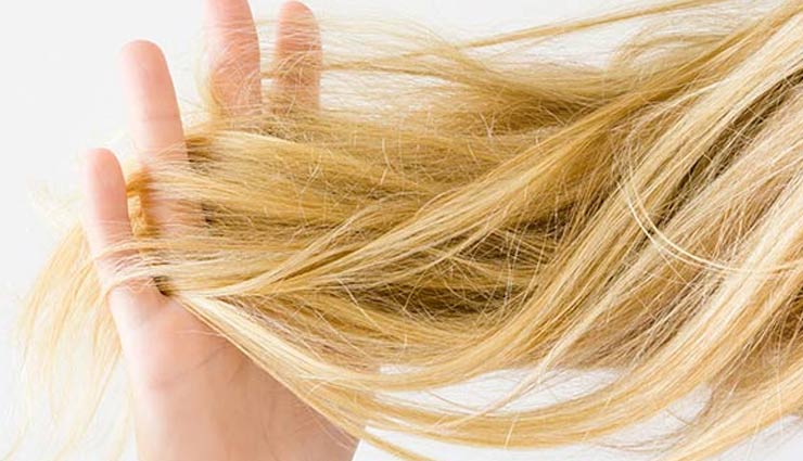 dry hair 1 تاثیر نور خورشید بر مو : آیا نور خورشید برای مو مضر است؟